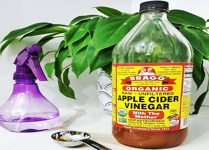 APPLE CIDER VINEGAR